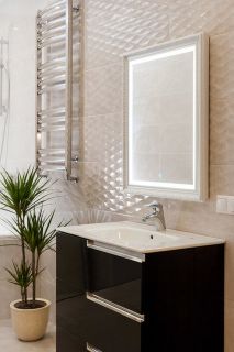 Зеркало с подсветкой Continent Verona ЗЛП25 63см серебро